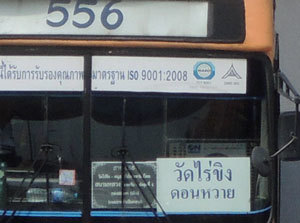 Bus556 White