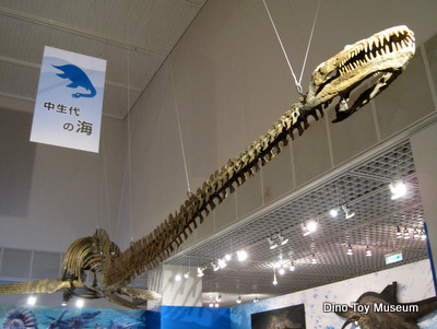 茨城県自然博物館の企画展：アンモナイト・ワールド－恐竜時代の海へいこう－