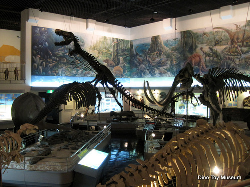 滝川市美術自然史館のタキカワカイギュウとティラノサウルス