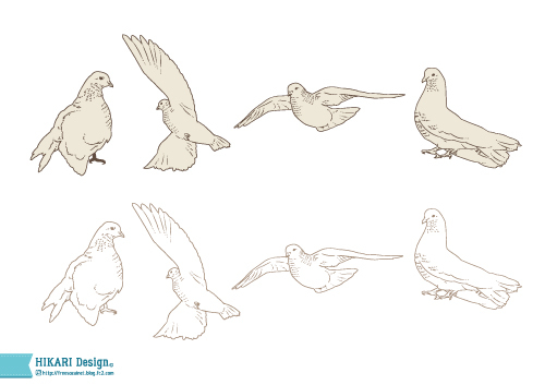 鳥 イラスト素材 商用可能フリー素材 鳩 ハト 鳥 手描き 線 Ai