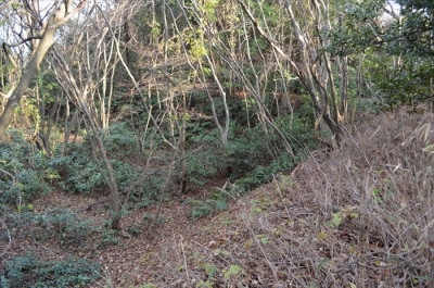 三國陸軍飛行場　掩体壕　後端土堤から右側土堤（福井）