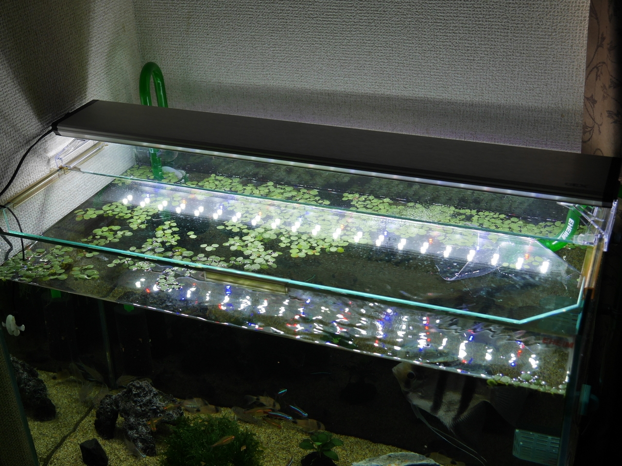 本物 ＧＥＸ クリアＬＥＤパワーIII９００ライトリフト １個 ９０ｃｍ水槽用照明 熱帯魚 水草