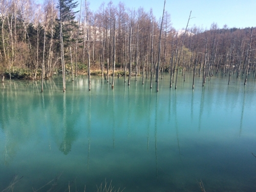 北海道ー青い池