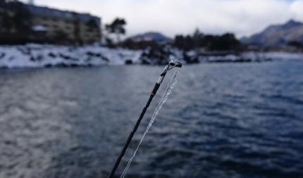 20170115-10-河口湖釣行ロッドティツプ凍る.JPG