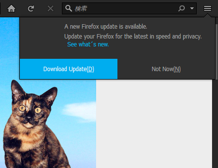 Mozilla Firefox 55.0 Beta 7